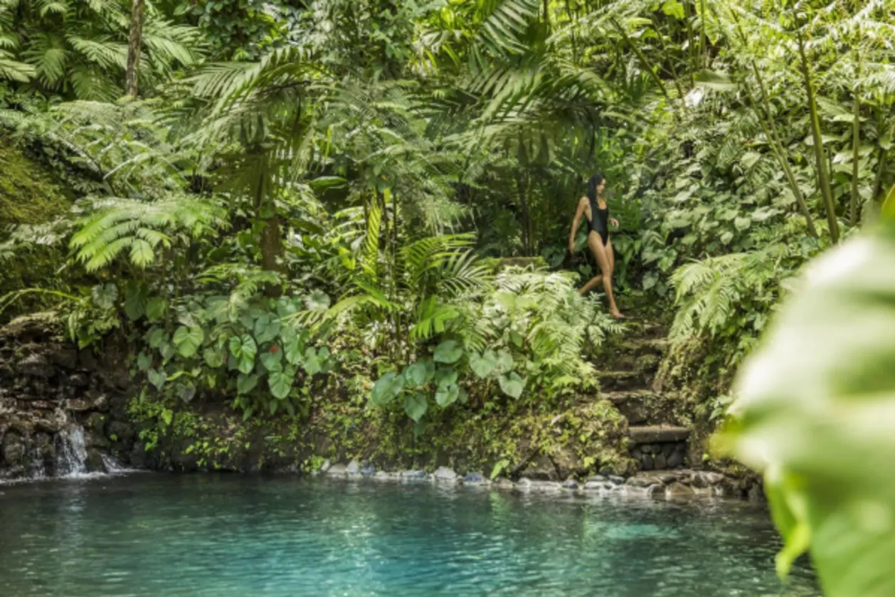 COMO Shambhala Estate Asian Spa natural spring pools
